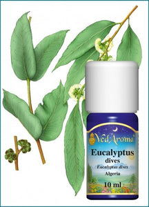 Vedaroma - Eucalyptus dives